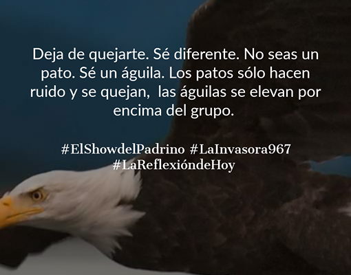 La Reflexión de Hoy: ¿Águila o Pato?… tu decides.